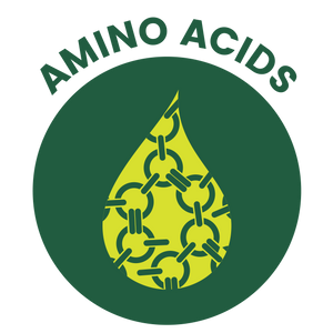Amino Acids